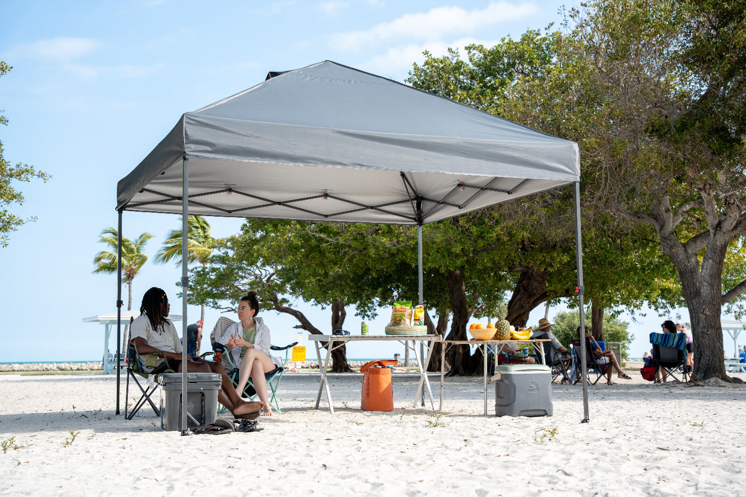 Crown Shades® 10x10 Canopy Review | Easy Setup & Durable Design