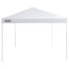 Lake & Trail 10' x 10' Straight Leg Instant Canopy (CL100C-Meijer)